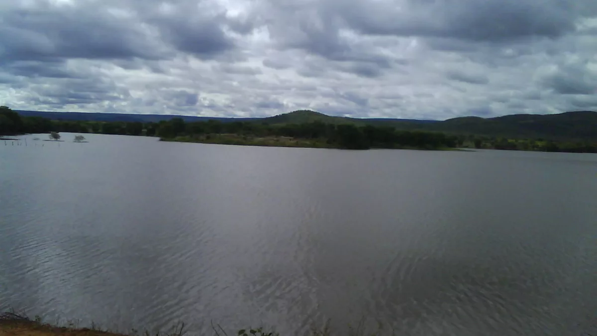 Ovelha em fazenda na cidade de Joaíma-MG