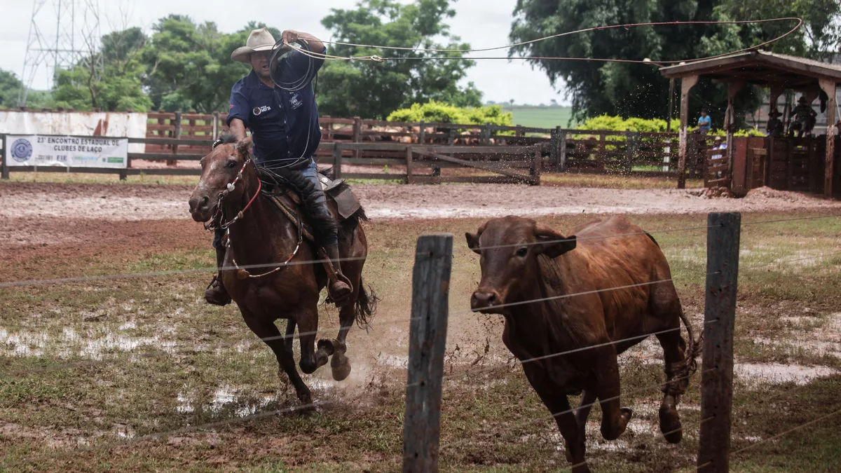 2ª Copa Nacional de Laço Comprido em Dourados MS, 06/12/2015