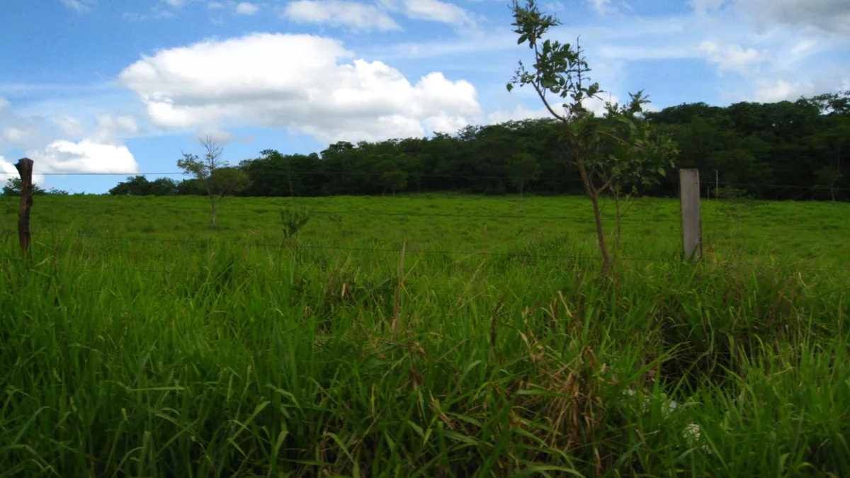 Fazenda em Montes Claros, MG