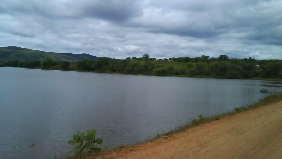 Foto da caatinga na Fazenda Casa dos Carneiros
